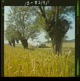 2273/4 B.M.W. (Förenade bil) Skåne