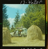 2779 Svenska Renault AB. Bilar i natur