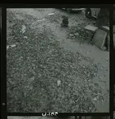 2788 Tyskland Berlin, allmänt