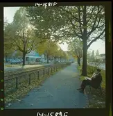 2788 Tyskland Berlin, allmänt