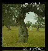 2791 Tunisien Kartago