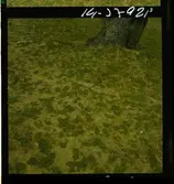 2791 Tunisien Kartago