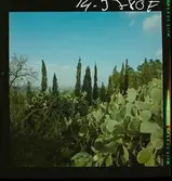 2791 Tunisien Kartago