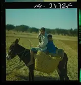 2791 Tunisien Kartago