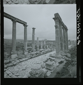 2793 Jordanien Historiskt