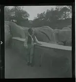 88 Skansen Ringleksbarn