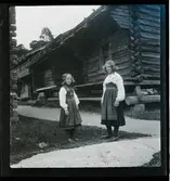 Skansen Ringleksbarn