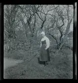 Skansen Ringleksbarn