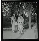 20 Skansen Ringlekar