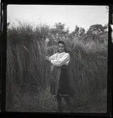 45 Skansen Ringlekar