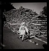 49 Skansen Ringlekar