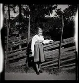 77 Skansen Ringlekar