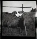 86 Skansen Ringlekar