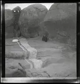 89 Skansen Ringlekar