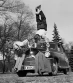 Akrobatgruppen Manner & co