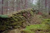 Stenmurar i skogen. SO gården Ängkas. S:a Högsäter