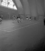 Handbollsmatch.