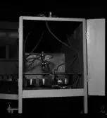 Nya maskiner och arbetsredskap till konservfabrik.  Maskinell utrustning troligen tillverkad vid Lysekils Mekaniska verkstad.