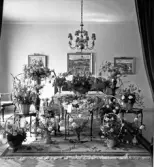 Stor samling blomsterarrangemang.