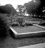 Arvid Winbergs familjegrav.