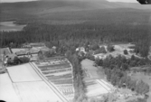 Flygfoto över Vassbo Lantbruks och Plantskola.