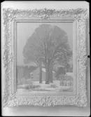 WALDERMARSUDDE
MÅLNINGAR OCH SKULPTURER