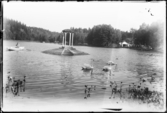 Dals Rostock. Kroppefjälls sanatorium. Lyckans ö