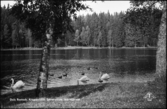 Dals Rostock. Kroppefjälls Sanatorium, Mörttjärnet