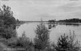 Sjön Södra Hörken, Grängesberg.