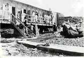 Badliv vid Skarpe Nord i Varberg på 1910-talet. Badhytter för strandbad var vid 1910 uppförda både för herr- och dambad. Från dessa gick smala gångar av cement ned till vattnet och baden hade föreståndare; Anna Mårtensson respektive biträdet Vallin. Då skulle de badande bära simdräkt, vilket fanns till uthyrning i badhytterna. Men att nakenbad förekom påvisas av att stadens Magistrat 1914 skärpte reglerna om var man fick bada och att det inte fick ske utan simdräkt.

Utanför badhytterna står fullt påklädda kvinnor, varav några kan vara badbiträden, några badande går i trappan och andra solar på stenarna till höger. Skarpe Nord utvecklades till mer regelrätt nakenbad för damer troligen mot 1920-talets slut. Fototid ca 1915.