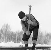 Banarbetare Ivan Berggren slår ner rälsspik, 1940-tal