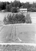 Åkrarna vid gården Fjärndeln i Yxta i Hovsta, 1975