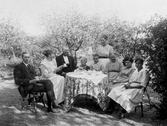 Grupp vid dukat kaffebord i Hovsta, 1920-tal