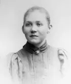 Kvinnoporträtt, 1890-tal