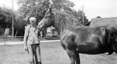 Drängen Elis håller en häst i Gryt i Hovsta, 1940-tal