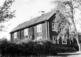 Häck runt huvudbyggnaden på gården Fjärdeln i Yxta i Hovsta, 1976
