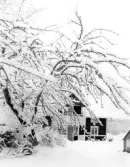 Torp i Yxtabacken i Hovsta, 1982