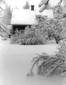 Torpet Björkhagen i Yxtabacken i Hovsta, 1982