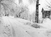 Vinterväg genom Erstorp i Hovsta, 1985