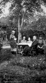 Kaffe i trädgården i Hovsta, 1920-tal