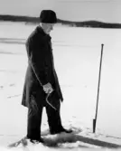 Pimpelfiske, 1940-tal