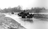 Häst drar hölass genom översvämningen i Ervalla, 1910-tal