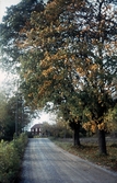 Väg mot gården Fjärndeln i Hovsta, 1970-tal