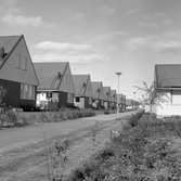 Villaområde i Lundby, 1972