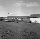 Lekplats vid gräsmatta i villaområde i Lundby, 1972