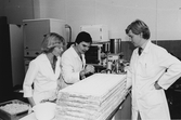 Elisabeth Öhrn, Lars Granberg, Tomas Trybom kollar ett gjutprov februari 1981.