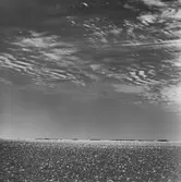 Ängsskärs skärgård