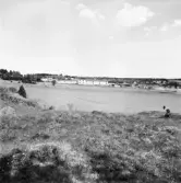Knivsta