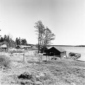 Singö