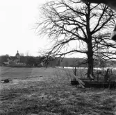 Tveta